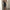 Elegantes Damenkleid – Zeitlos & Vielseitig – Sophia