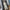 Trendiger Damen Wintermantel mit elegantem Schnitt – Lorevia