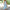 Handgefertigtes Baumwollkleid Damen Sommer bequem langlebig – Florina