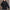 Oversize Winterparka mit Kapuze & Baumwollpolsterung – Maggie