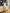 Elegantes Partykleid Fit and Flare Knielang – Nalina