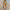 Vibrantes Maxikleid Damen Sommer luftig bequem – Arlina