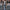Trendige karierte Damenjacke für stilvolle Outfits – Mira