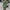 Elegantes modernes Damenkleid – Emilia