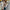 Elegante Damenweste mit figurbetontem Schnitt – Sophie