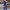 Eleganter Party-Jumpsuit mit offenen Ärmeln – Julia