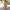 Handgefertigtes Baumwollkleid Damen Sommer bequem langlebig – Florina