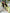 Elegantes Maxikleid mit Spitze und Taillenschnitt – Lorena