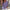 Plus-Size Bluse Damen V-Ausschnitt Knöpfe – Marina