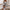 Elegantes Damenkleid mit perfekter Passform – Isabella