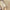 Damenbluse mit Nadelstreifen für elegante Looks – Clara