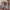 Denim-Shorts Damen High Waist & Trendy – Candice