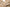 Mom-Jeans Damen Plus Size & High Waist – RetroFlex