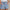 Baumwoll-Shorts Damen Leicht und Bequem – Livia