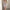 Elegantes Damenkleid – Zeitlos & Vielseitig – Sophia