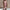 Elegantes Damenkleid mit schmeichelhafter Passform – Elisa