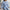 Damen-Strickpullover mit zeitlosem Design – Sophia