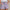 Baumwoll-Shorts Damen Leicht und Bequem – Livia