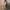 Midi Kleid Gelb Raffung Sommer Elegant – Sophie