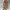 Damen Wollmantel Zweireiher Herbst Winter Elegant – Luna