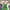 Sommerkleid Zitronenmuster Italienischer Stil Luftig – Bellina