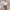 Spitzenbluse Damen Vintage Elegant Zeitlos – Sophie