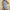 Luftiges Sommer Minikleid mit Wellenkante – Livia