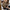 Elegante Damenweste mit figurbetontem Schnitt – Sophie