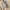 Damenbluse mit Nadelstreifen für elegante Looks – Clara