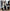 Trendiger Damen Wintermantel mit elegantem Schnitt – Lorevia