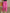 Damen Haremshose Baumwolle Sommer Bequem Retro – Livia