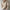 Oversized Damen-Hoodie für lässigen Komfort – Luna