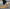 Orthopädische Schuhe für Komfort und Stabilität – Brigitte