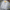 Warme Oversize Winterjacke mit Kapuze – Lior