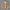 Cordjacke Herren Winter warm & stylisch – Tobias