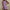 Luftiges Sommer Minikleid mit Wellenkante – Livia
