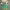 Sommerkleid Zitronenmuster Italienischer Stil Luftig – Bellina