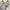 Damenbluse mit Nadelstreifen für elegante Looks – Clara
