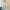 Seidenbluse Damen Elegant Zeitlos Chic – Anna