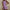 Luftiges Sommer Minikleid mit Wellenkante – Livia