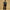 Plus-Size Stretch-Schlagjeans mit hoher Taille & Rissen – Sophia