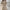 Stilvolles und vielseitiges Damenkleid – Emilia