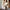 Elegante Damenweste mit figurbetontem Schnitt – Sophie