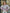 Eleganter Damenstrickpullover mit Farbverlauf - Camille