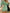 Kleid Damen Elegant Bequem Figurbetont – Clara