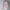 Leinen Damen Bluse Sommer Leicht Klassisch Atmungsaktiv – Selariva