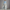 Maxi Kleid Elegant mit Blumenmuster Sommer Look – Anna