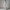 Maxi Kleid Elegant mit Blumenmuster Sommer Look – Anna