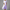 Baumwoll Langkleid Damen Elegant Sommer Look – Mila
