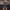 Elegantes Pailletten-Cocktailkleid mit Federbesatz – Valeria